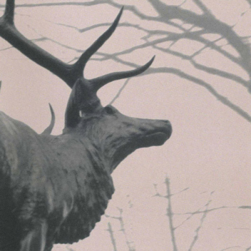 Agalloch