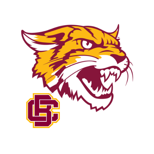 Bethune-Cookman Wildcats