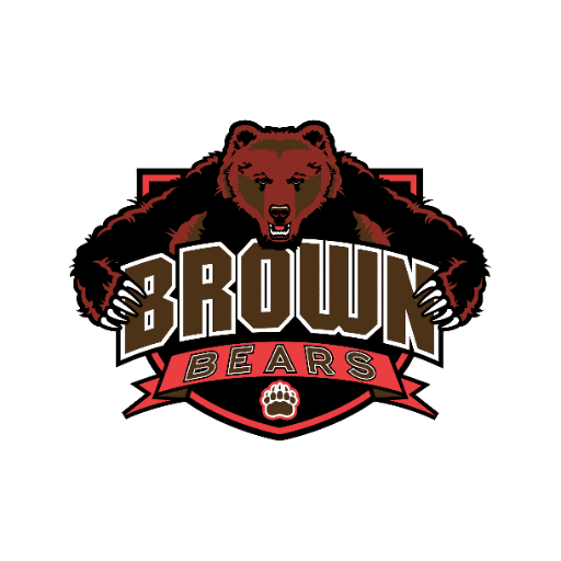 Brown Bears