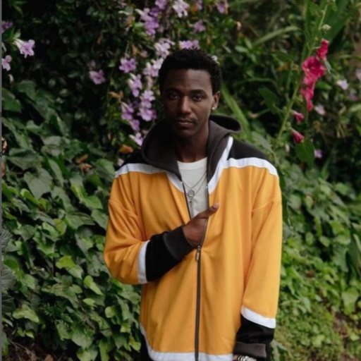 Jerrod Carmichael