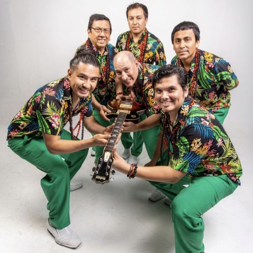 Los Mirlos