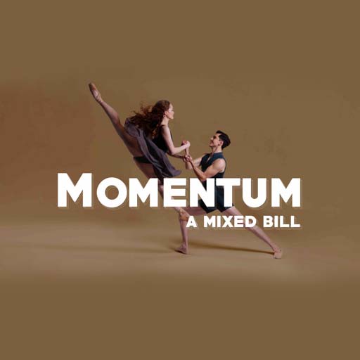 Momentum