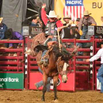 River City Rodeo